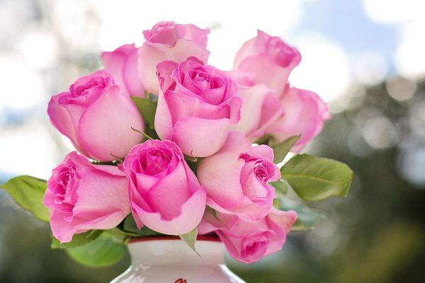 Fête des Mères : ces 5 variétés de fleurs à offrir
