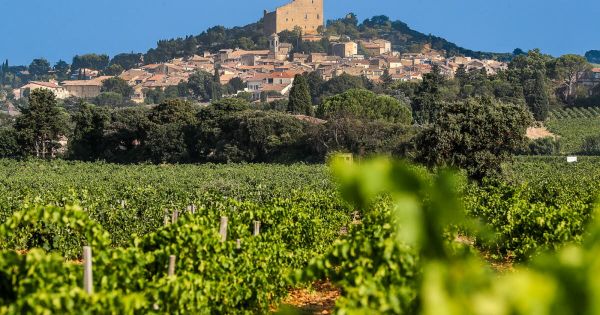 Balade. Sur la route des vins : découvrez le sud de la vallée du Rhône