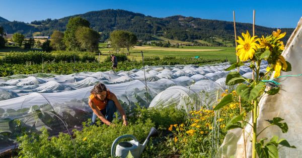 Environnement. La reconversion professionnelle, un phénomène qui s'accélère chez les jeunes