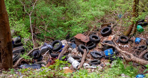 Infractions environnementales : la Cour de cassation étend le délai de prescription