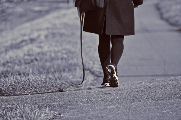 Pontarlier : verbalisée pour avoir promené une laisse sans chien