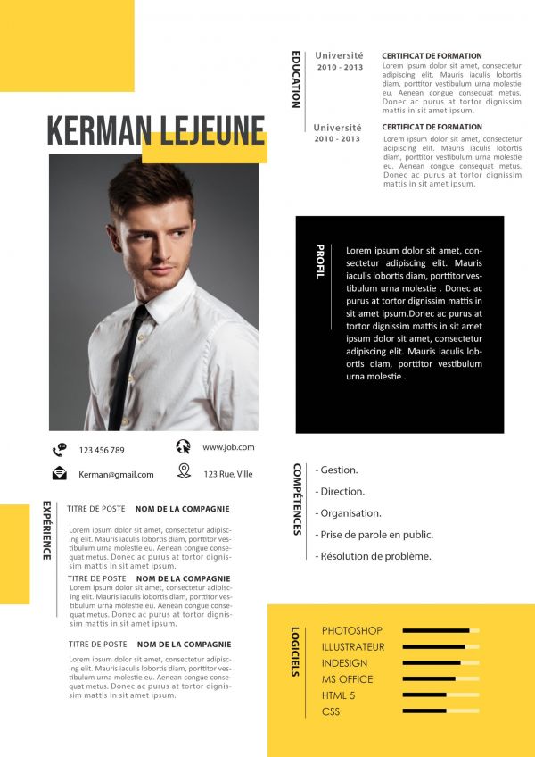 CV En Français Avec Un Design Professionnel - Emploi et Formation
