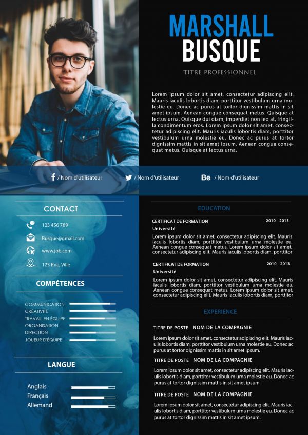 CV Original Adaptable Téléchargeable - Emploi et Formation