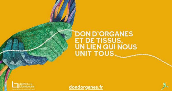 Don d'organes : du consentement présumé au refus explicite, ce qu'il faut retenir sur cette grande cause