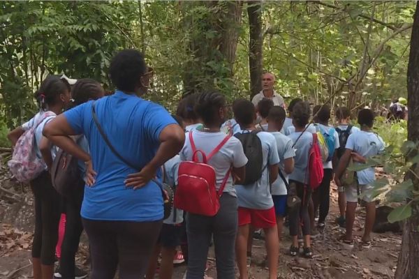 Visite du sentier pédagogique de l'Anse à la Barque, à Vieux-Habitants
