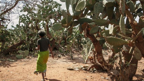 À Madagascar, des femmes victimes de fistule obstétricale opérées par des chirurgiens français gratuitement