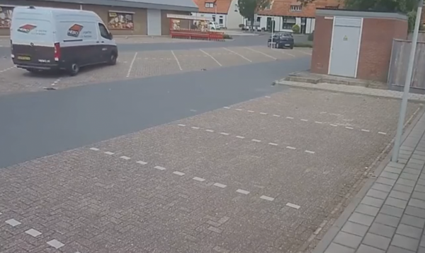 Voilà comment garer sa fourgonnette avec classe ... et fracas !