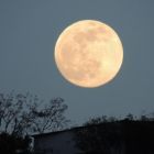 Semer à la pleine lune: meilleure croissance des plantes ? Faux