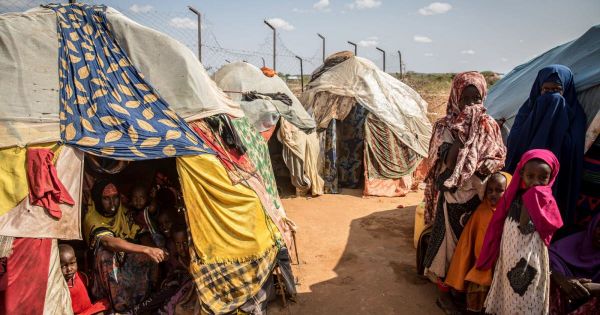 Guerre en Ukraine. Crise alimentaire : le monde s'inquiète