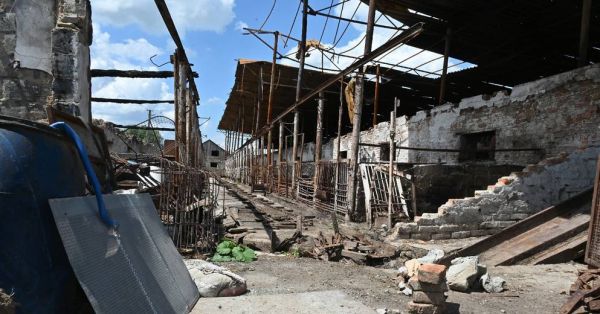 En Ukraine, le bétail victime de la guerre