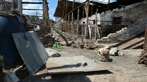 En Ukraine, le bétail victime de la guerre