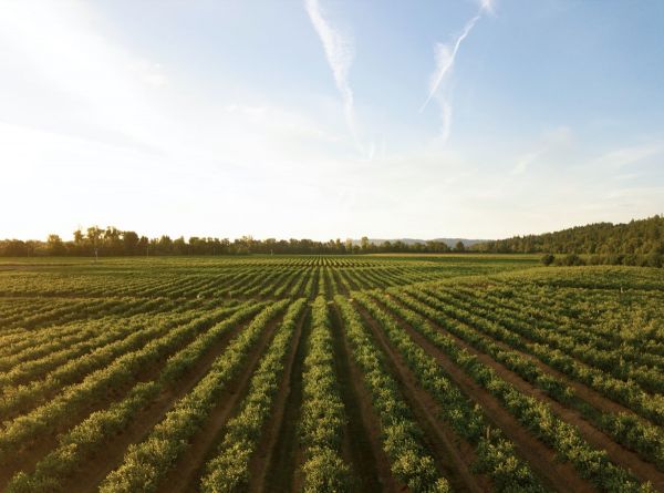 Pesticides : une carte interactive détaille le niveau d'exposition, commune par commune