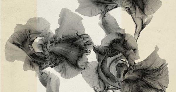 Photo : Thomas Ruff, le trafiquant d’images
