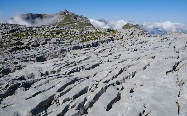 L'Exploratorium : Platé, un désert pas comme les autres au sommet des Alpes