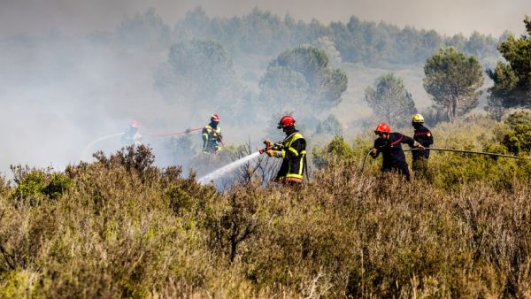 Incendie d'Opoul-Salses : le feu fixé, 180 sapeurs-pompiers sur place tout l'après-midi avant un allègement du dispositif pour la nuit