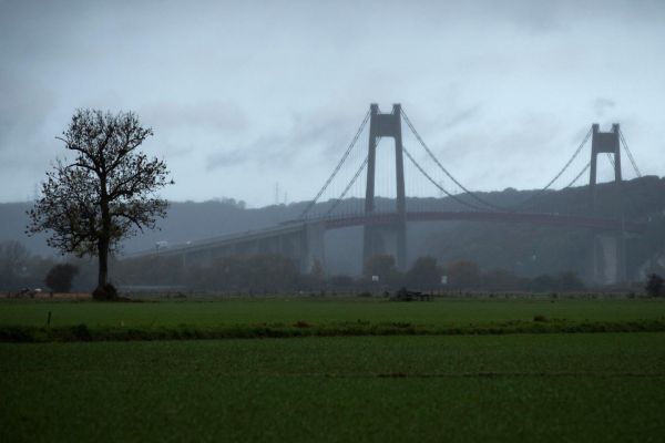 Un nouveau cétacé observé dans la Seine entre le pont de Normandie et celui de Tancarville