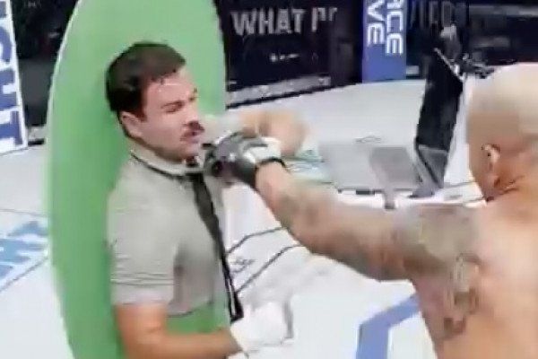 Combat de boxe pendant une conférence Zoom