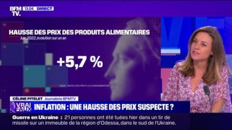 LA VÉRIF' - Inflation: une hausse des prix suspecte ?