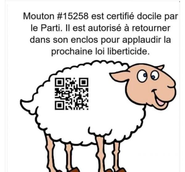 Le Grand Reset passera par la monnaie, il sera monétaire. La monnaie cessera d'être instrument de liberté (James G. Rickards)