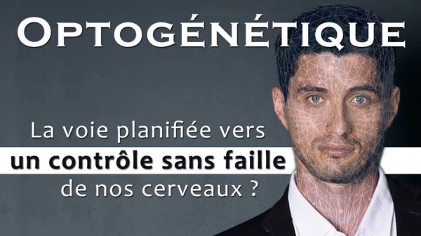 Optogénétique - la voie planifiée vers un contrôle sans faille de nos cerveaux ?