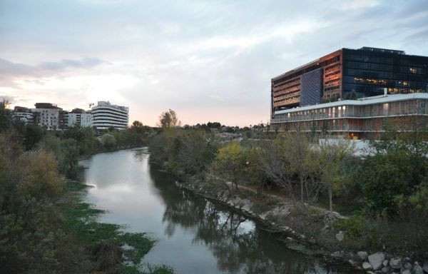 Montpellier : Pollué, le Lez est en alerte rouge