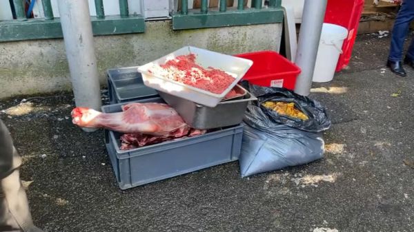 Val-d'Oise: 400 kilos de viande avariée jetés après un contrôle au marché de Sarcelles