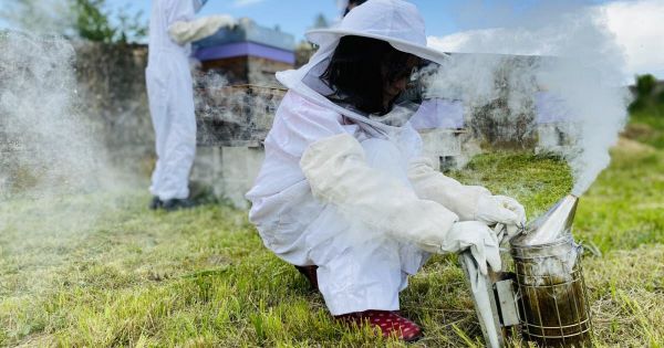 Saône-et-Loire. Miel : un nouvel étiquetage qui défend les producteurs locaux