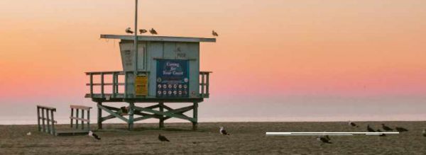 Plages de Los Angeles : TOP 8 des plus belles à découvrir