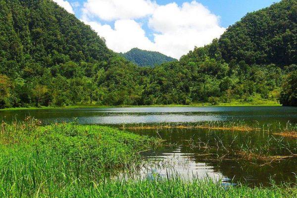 Comores : cinq nouveaux parcs nationaux