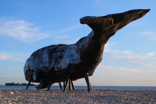 « Un été au Havre », un festival solidement ancré dans le port normand