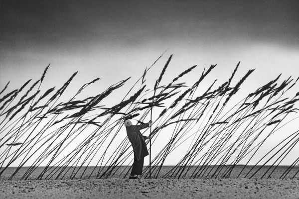 Le Havre : au Musée d'art moderne André-Malraux, des artistes emportés par le vent
