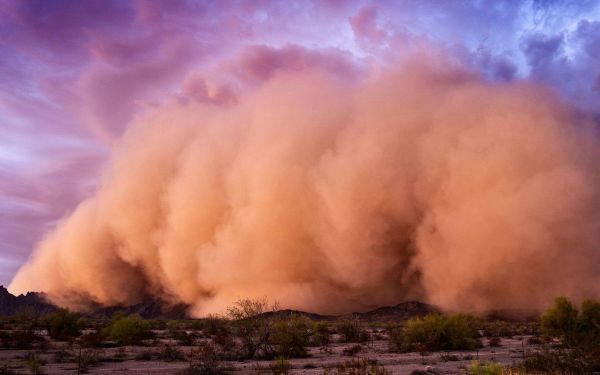 La mystérieuse « fièvre de la vallée » viendrait des tempêtes de sable
