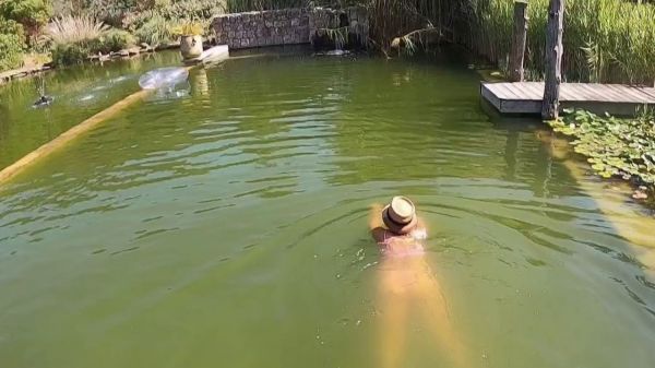 Piscines naturelles : pari gagnant ou fausse bonne idée ?