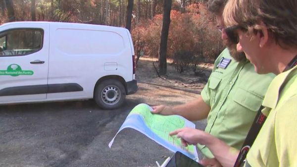 Incendies en Gironde : l'heure de l'analyse des dégâts