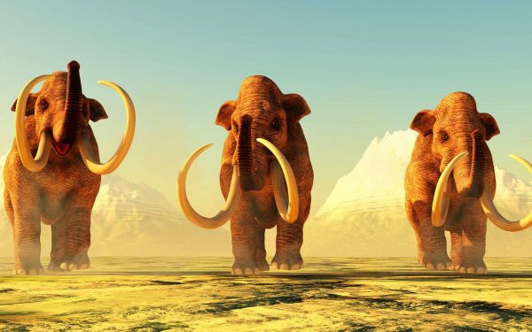 L'être humain était déjà arrivé en Amérique il y a 37.000 ans !