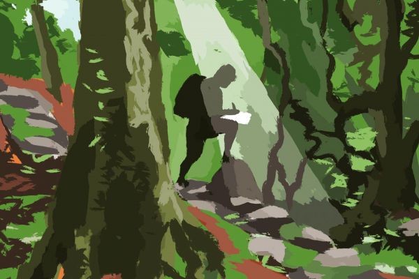 L'immersion de l'illustrateur Alexandre Benjamin Navet dans la forêt de « Princesse Mononoké » : « J'avais l'impression d'aller dans l'infiniment petit »