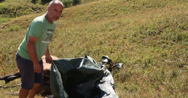 Saint-Jean-d'Arves. Savoie : une jument tuée et horriblement mutilée