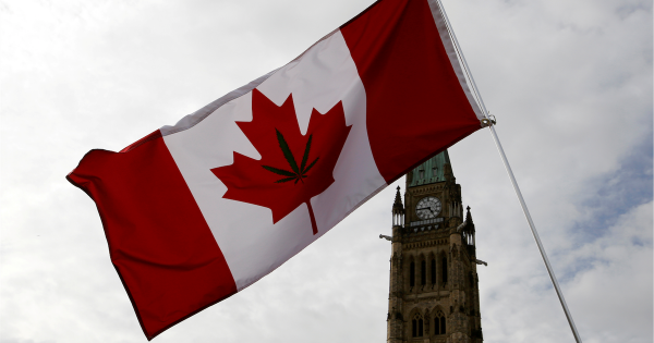 Les vétérans canadiens recourent massivement au cannabis thérapeutique