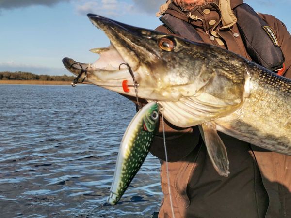 Leurre X-Rap Haku - Rapala