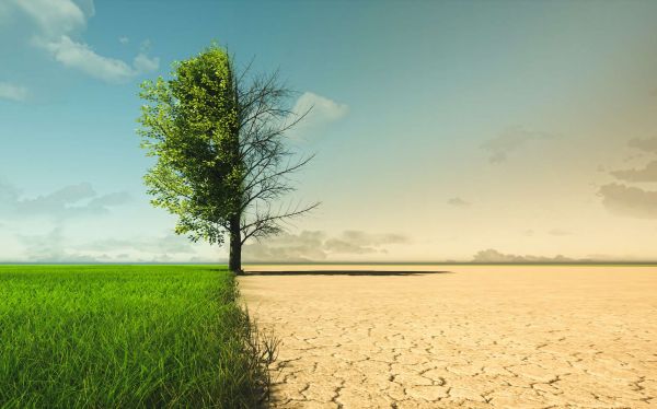 Climat : la liste des records cet été ne cesse de s'agrandir
