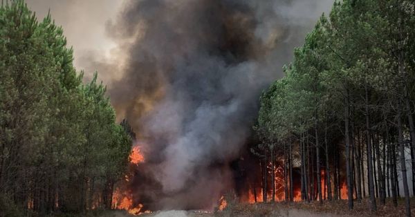 Un mois après, le feu reprend près de Landiras : 6.000 ha brûlés et des milliers d'évacuations