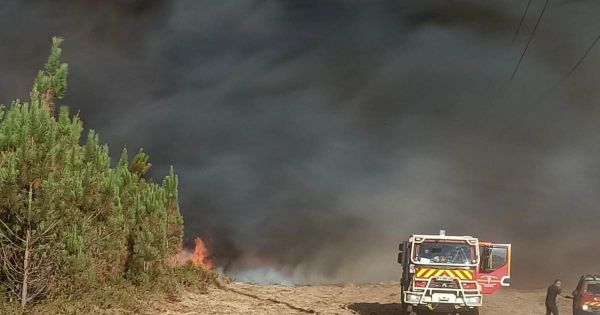 En direct. Incendies : plus de 6 600 hectares partis en fumée en Gironde, jusqu'à 40°C attendus