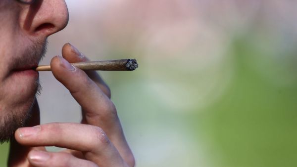 Légalisation du cannabis : « La prohibition n'est qu'un affichage politique qui ne règle rien. »