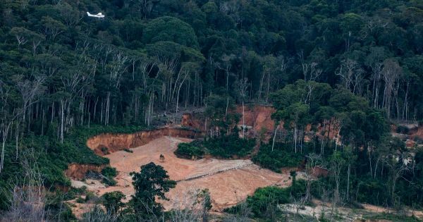 En Amazonie, des centaines de pistes d'atterrissage pour les chercheurs d'or illégaux