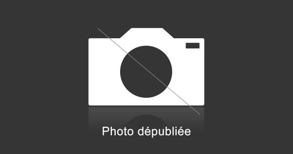 Côte-d'Or. De la moutarde de Dijon en vente à l'étranger en pleine pénurie en France ? On vous explique