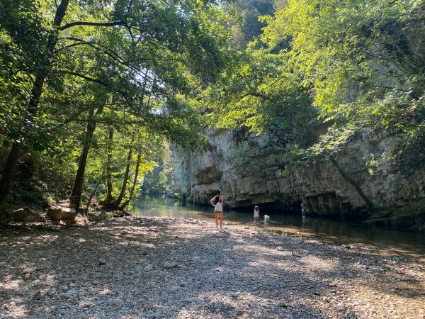 Y a-t-il une hécatombe d'anguilles dans le Loup ?