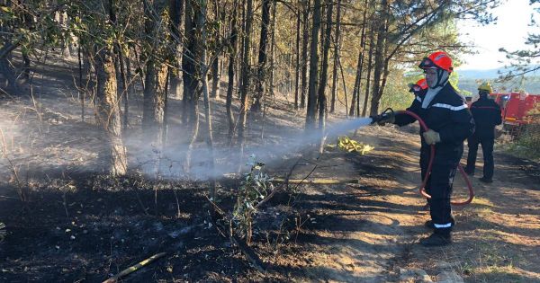 Côte-d'Or . Reprise du feu de Bouze-lès-Beaune : 800 m² de forêt détruits par les flammes
