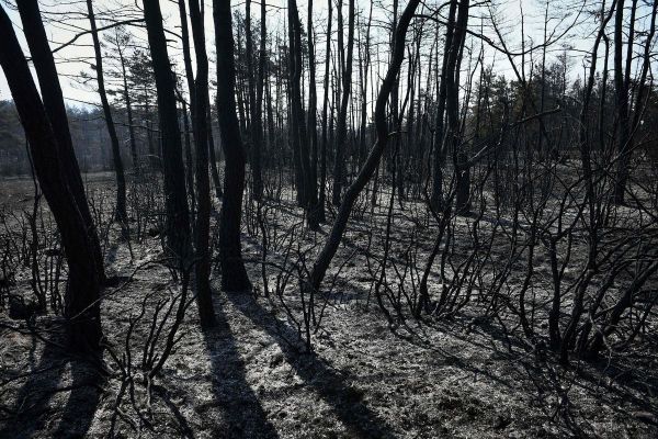 Incendie en Aveyron : le feu reprend, 50 hectares de plus brûlés, 100 autres menacés