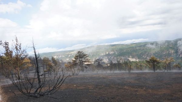 Incendie de Mostuéjouls : "le feu est désormais fixé" annoncent les pompiers de l'Aveyron