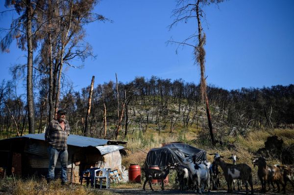 « Qui viendrait ici où tout est noir ? » : un an après l'incendie, le désarroi des Grecs de l'île d'Eubée